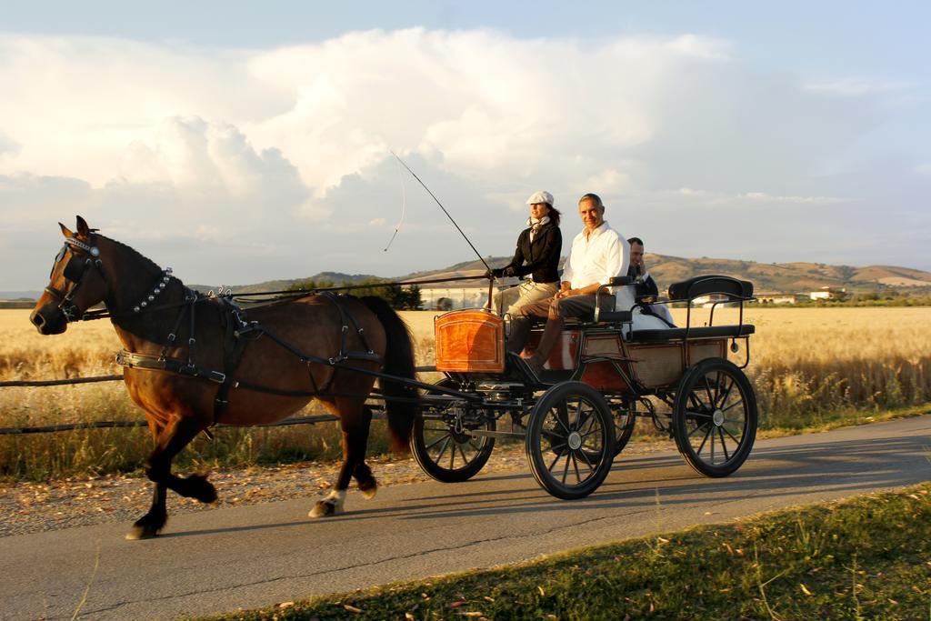 Agriturismo Giuncola & Granaiolo Rispescia Bagian luar foto