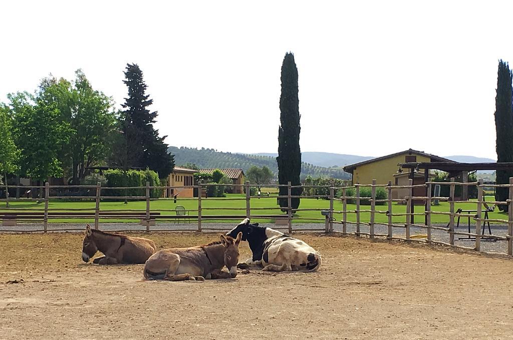 Agriturismo Giuncola & Granaiolo Rispescia Bagian luar foto