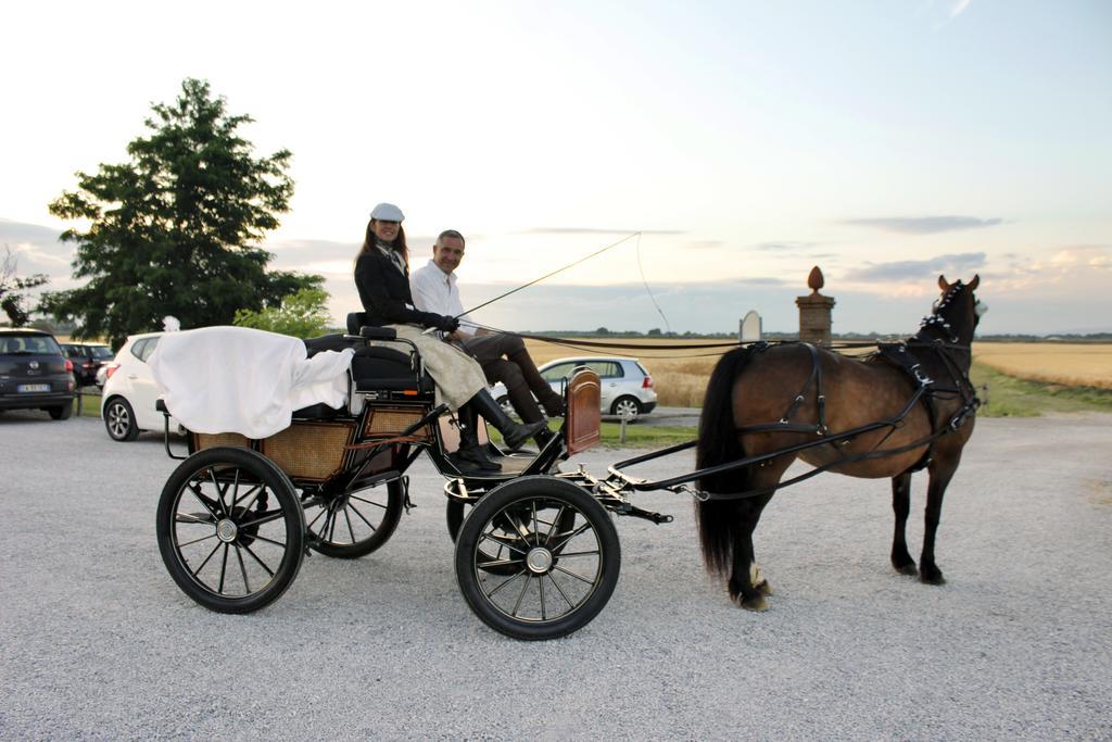 Agriturismo Giuncola & Granaiolo Rispescia Bagian luar foto