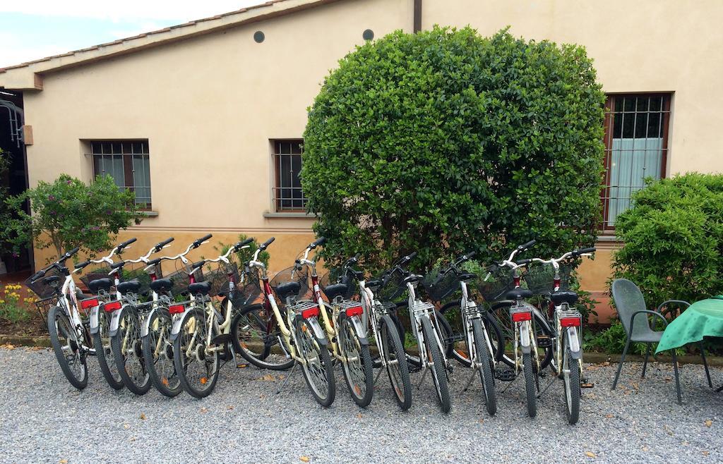 Agriturismo Giuncola & Granaiolo Rispescia Bagian luar foto