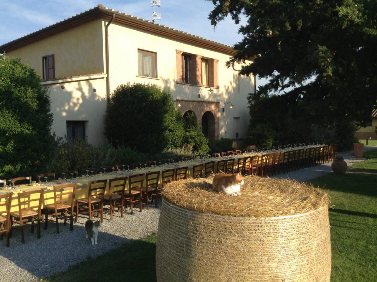 Agriturismo Giuncola & Granaiolo Rispescia Bagian luar foto